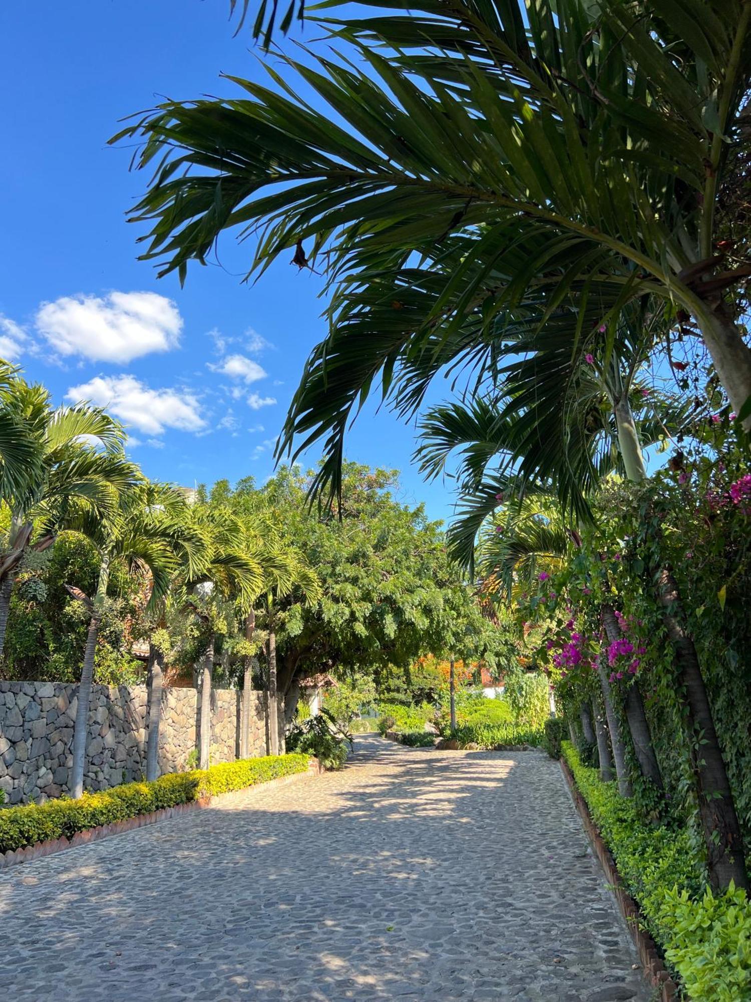 Mama Chuy Hotel & Villas San Juan Cosalá Exteriör bild
