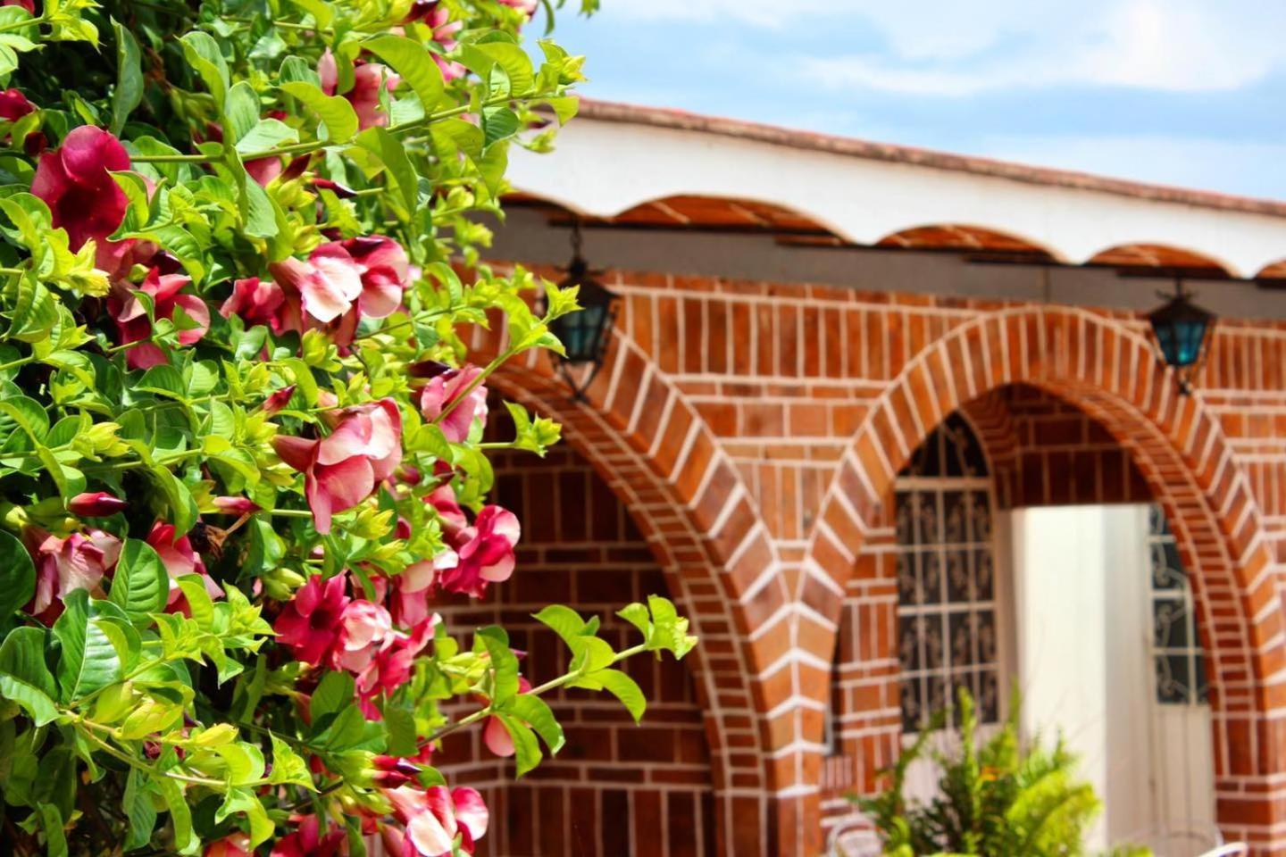 Mama Chuy Hotel & Villas San Juan Cosalá Exteriör bild